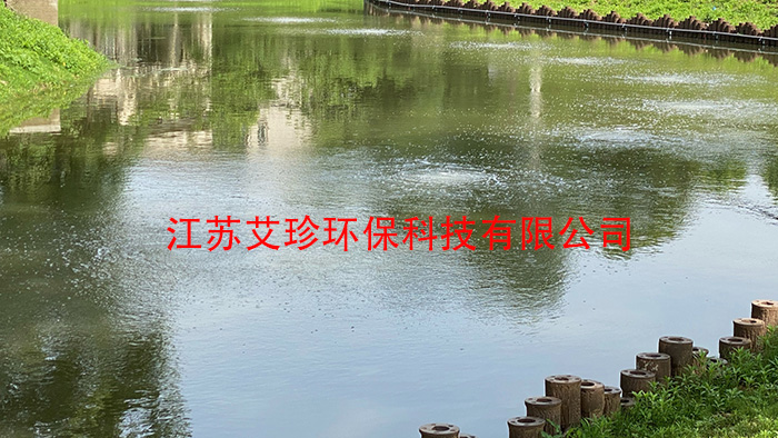 河道治理新利器：河道用微納米曝氣系統背后的“氧”生廠家.jpg