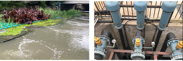 河道污水處理用沉水式魯式鼓風機包安裝